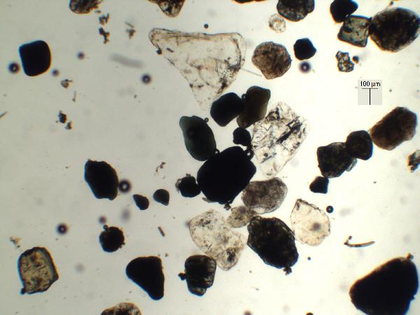 Iron Oxides, Opaque (e.g., magnetite)